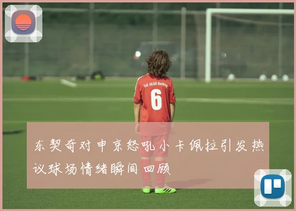 东契奇对申京怒吼小卡佩拉引发热议球场情绪瞬间回顾